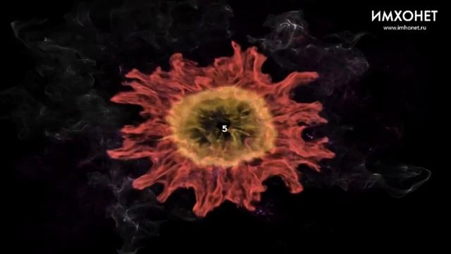 10 лучших ситкомов всех времен