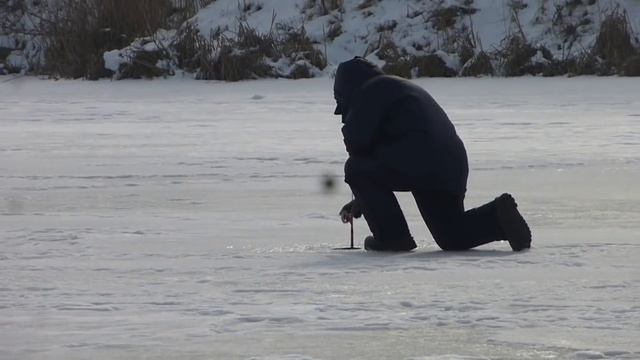 Рыбалка Зима 2018. 03.02.18. Пруд Общества слепых Белгородская обл. Ловим на жерлицы. смотреть онлайн