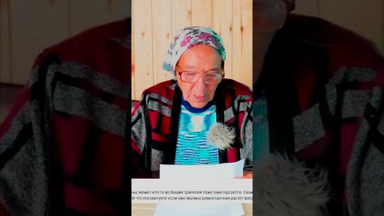 Нужно разделять посадки летней и ремонтантной малины смотреть онлайн