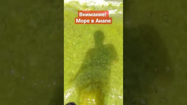 Море в Анапе. начало июня. красотища. смотреть онлайн