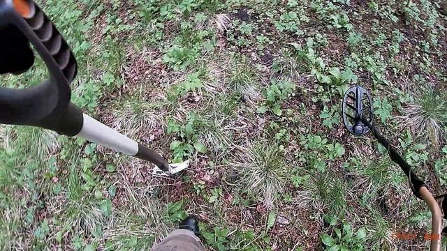 #147 Поиск в лесу с Fisher F75 RUS смотреть онлайн