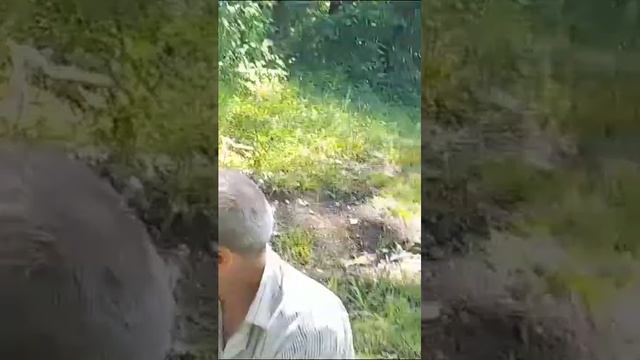Агъавлар Яшагиз смотреть онлайн