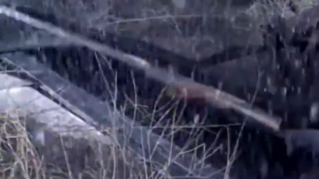 Как это было: Slipknot