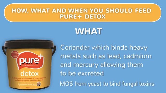 Pure Plus Detox смотреть онлайн