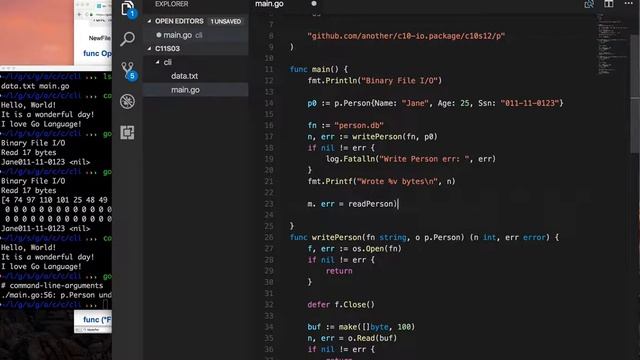 #golang #striversity 11.03 - Opening binary file in Go смотреть онлайн
