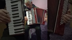 Аккордеон Берёзка