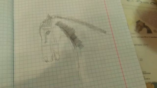 Мои рисунки лошадей смотреть онлайн