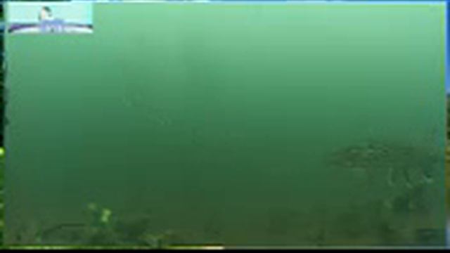 Ловля щуки на балансир  подводные съёмки