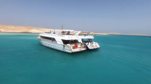 Egipt 2022 Makadi Palace. Luxor. Toto Pitbull Africa смотреть онлайн