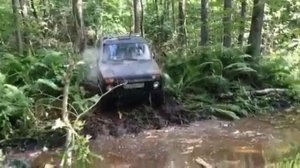 Нива Черная вдова