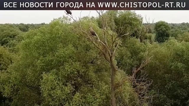 Экологическая безопасность - в наших руках смотреть онлайн