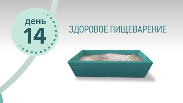 Узнайте больше о программе PURINA ONE® «Видимый результат за 21 день»