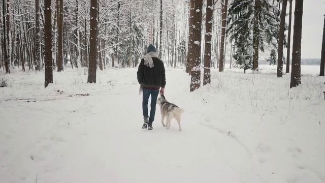 Вернуть ли бывшую девушку? (не Максим Вердикт) Как вернуть бывшую