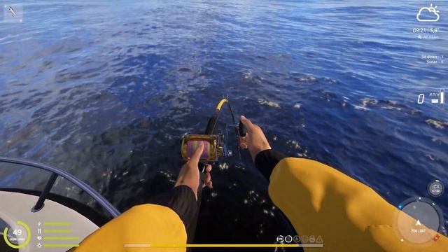 Fishing on the Norwegian Sea. Rare trophy + Trophy 1h 2.600 silver. RF4 смотреть онлайн