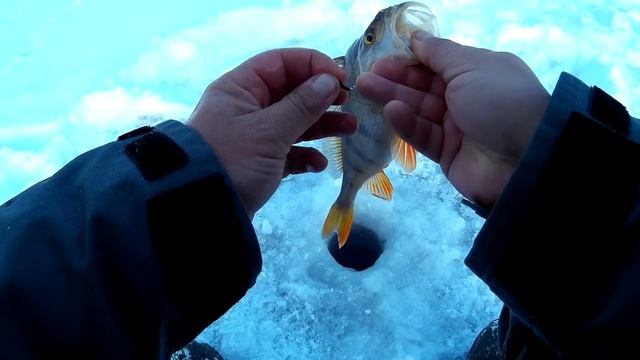 Рыбалка на Чёртик. Бью свой рекорд по окуню. смотреть онлайн