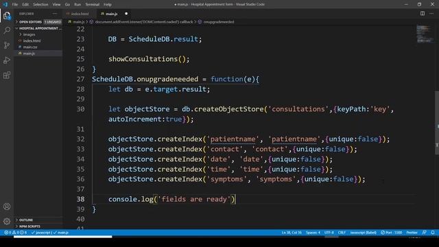 JavaScript Project | Hospital Appointment Form In JavaScript | JavaScript IndexedDB смотреть онлайн