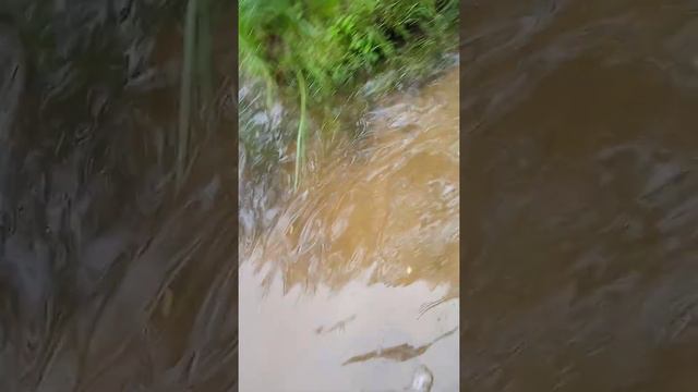 Отличная рыбалка на горох р Ока смотреть онлайн