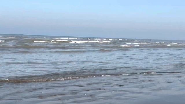 Берег Каспийского Моря смотреть онлайн