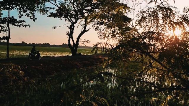 Sigma INFJ vs Narcissist: 5 WORDS INFJ Sigma Says That Immediately Turn Narcissists To RAGE смотреть онлайн