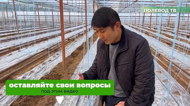 ПОДГОТОВКА ТЕПЛИЦЫ К НОВОМУ СЕЗОНУ. 1 ЦИКЛ 4 СЕРИЯ #шпалера #теплица смотреть онлайн