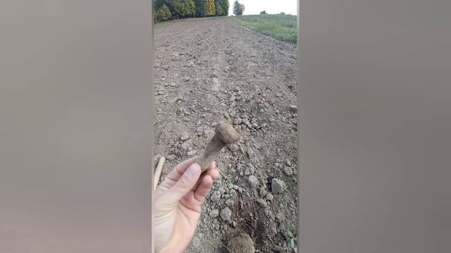 Удачные находки в огороде с металлоискателем,очень ЦЕННЫЕ вещи найдены!! смотреть онлайн