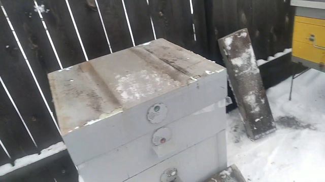 распался клуб пчёл что можно предпринять? смотреть онлайн