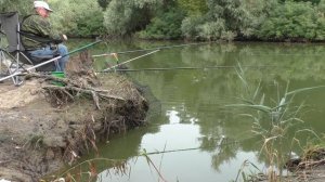 НЕ ЖАЛЕЯ ПРИКОРМКИ Казачий ерик на Кубани.