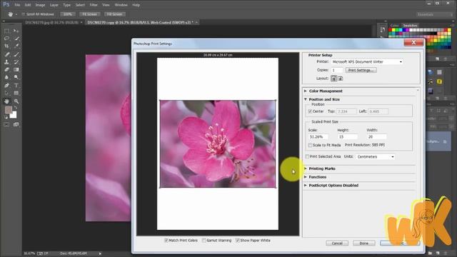 Adobe Photoshop CC, Tutorial printing settings, Basic course in english, chapter 11 смотреть онлайн