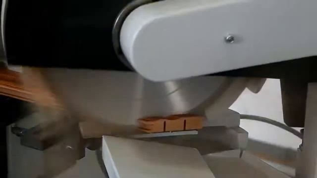 Заусовочный двухпильный станок для изготовления рамочных фасадов и багета WM2 300D смотреть онлайн