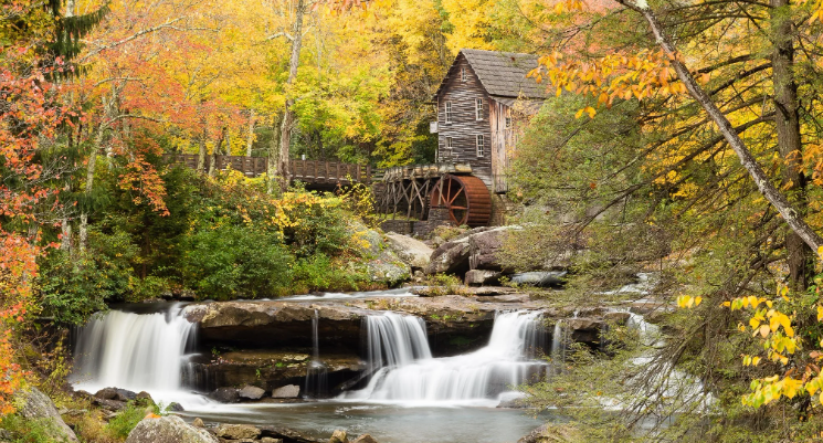 Звуки успокаивающего водопада в лесу ✦ Звуки леса и пение птиц ✦ Relax Sleep смотреть онлайн