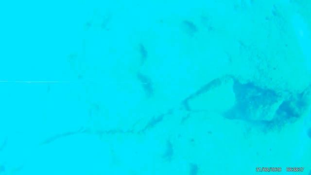 31.08.2020 #подводная охота в конце лета# смотреть онлайн