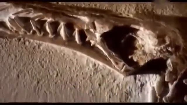 Гигантские животные Драконы смотреть онлайн