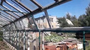 Теплица из старых оконных рам своими руками