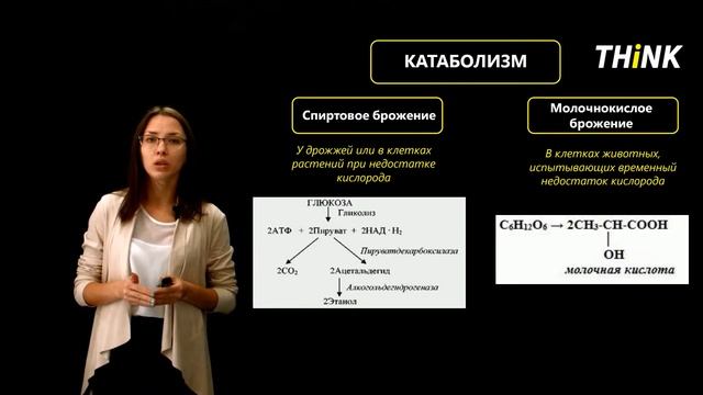 Обмен веществ в клетке | Подготовка к ЕГЭ по Биологии смотреть онлайн