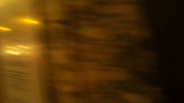 живые витрины