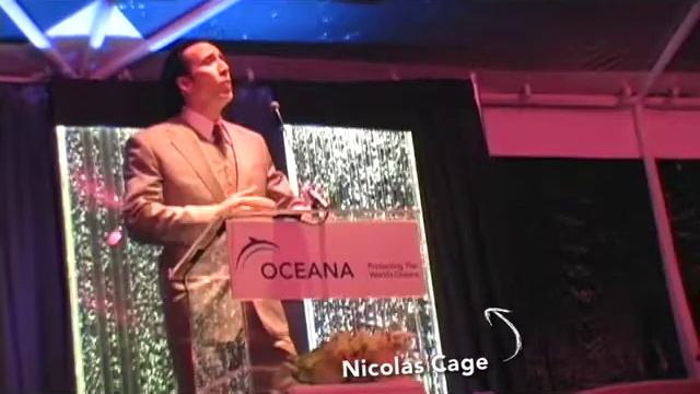 Hollywood Stars Talk About Ocean Conservation смотреть онлайн