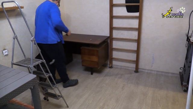 Курцхар Халк, тренируем движение рядом в квартире смотреть онлайн