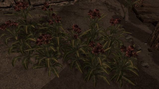Beyond Skyrim: Morrowind - Plants testing and Karst look through смотреть онлайн