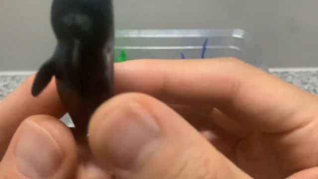 MEGA Sea Animal Toys Pack 🐟 Part 5 Tuna Orca Turtle Ocean Toy Surprise Playing With Plastic Animals смотреть онлайн