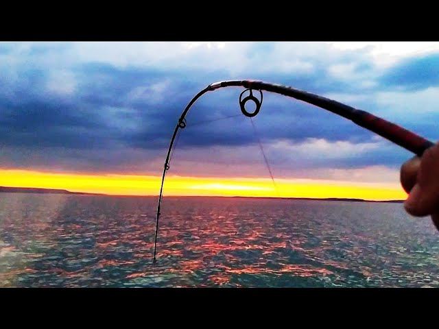 Снова ЛОМАЕТ СПИНИНГ !!! ОН ВЗЯЛ! Ловля СОМА на квок. Рыбалка в Жару под 40 ! смотреть онлайн