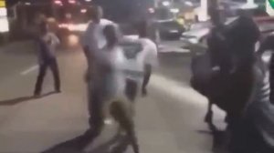 Женщины дерутся Так смешно кудахчет 1