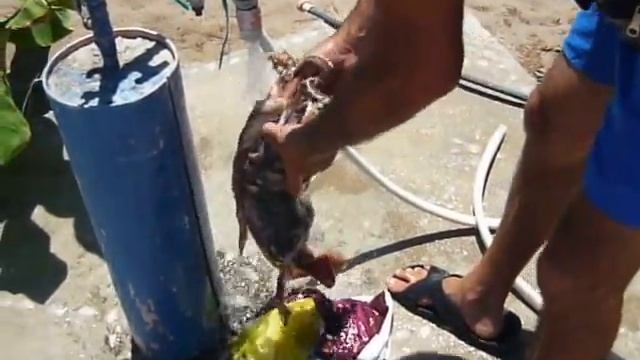 Nikos Gerontas fisherman Stegna beach Rhodes смотреть онлайн