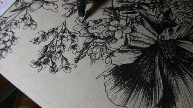 Inktober Cont. Day Forty One: Babiana/ Baboon Flower смотреть онлайн