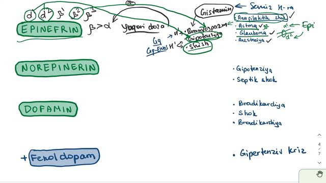 ᴀᴅʀᴇɴᴇʀɢɪᴋ ᴀɢᴏɴɪsᴛ: ʙᴇᴠᴏsɪᴛᴀ-ɴᴏsᴇʟᴇᴋᴛɪᴠ смотреть онлайн