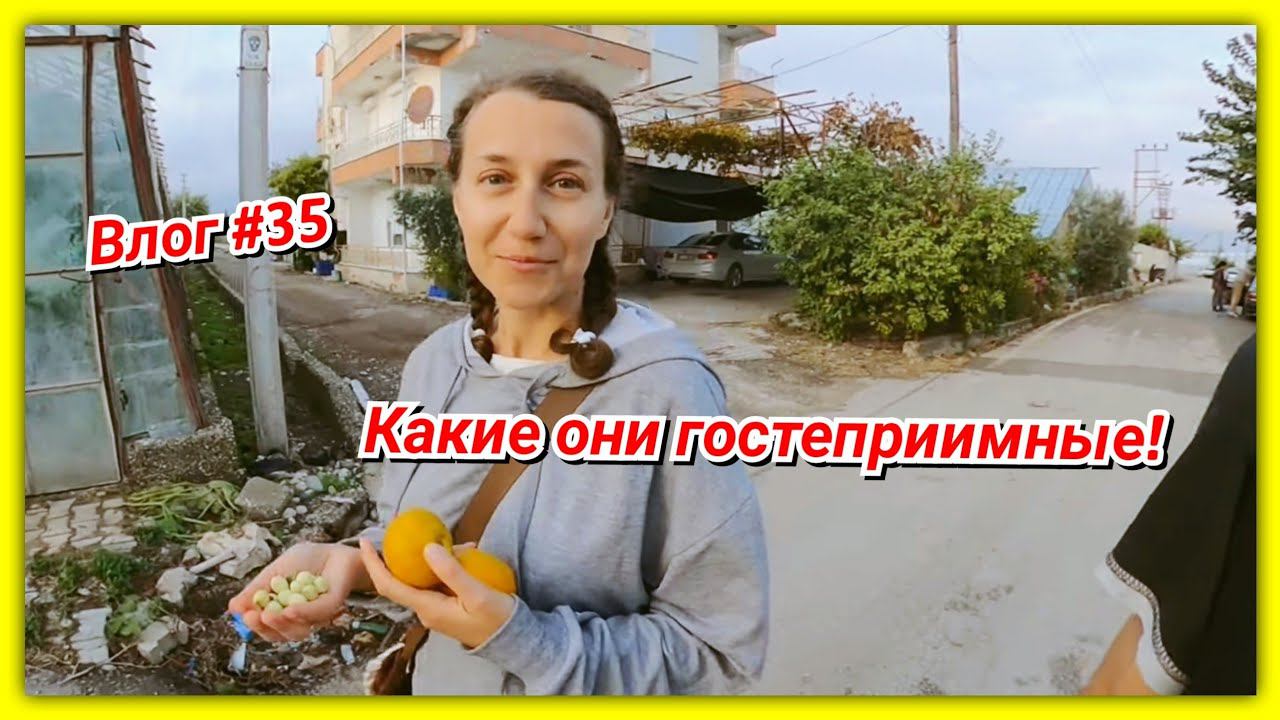#35 Турция! ЧТО ЗА ЯГОДЫ?? Кормят и кормят! Ищем, где подстричься! смотреть онлайн