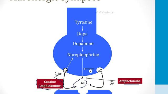 Psychiatry - 3. Substance Use Disorders - 3.Stimulants Atf