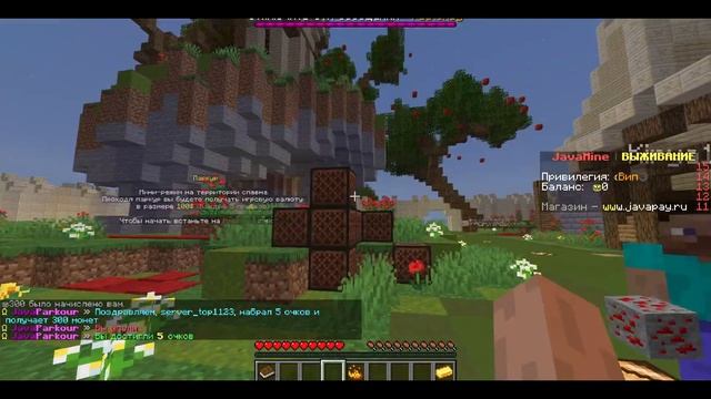 Сервер Аида Майнкрафт 1.16, 1.12, 1.8 смотреть онлайн