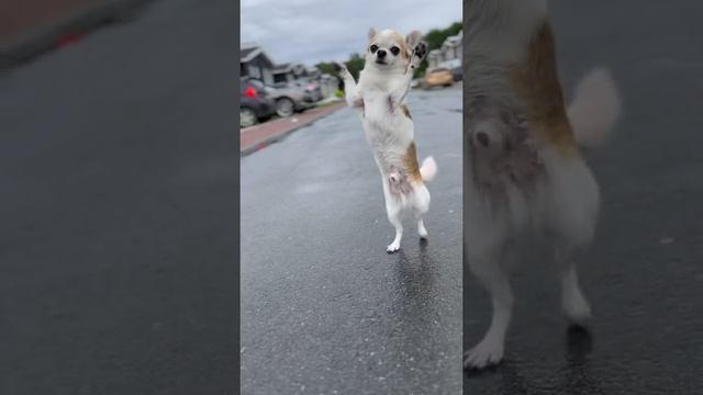 ЭТО НЕВЕРОЯТНО смотреть онлайн