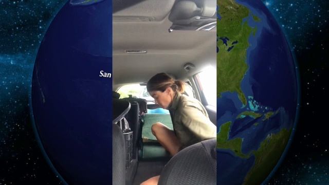 How to Sleep in a Honda Fit (with no special build!) смотреть онлайн
