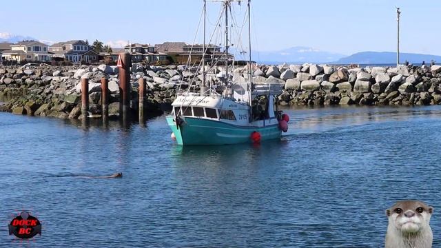 Alpine Star / French Creek Marina / Dock BC смотреть онлайн